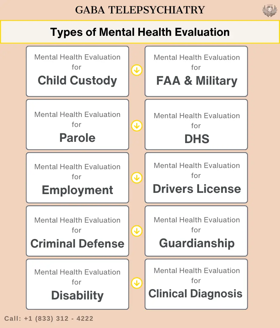 Mental Health Evaluation Online for Court